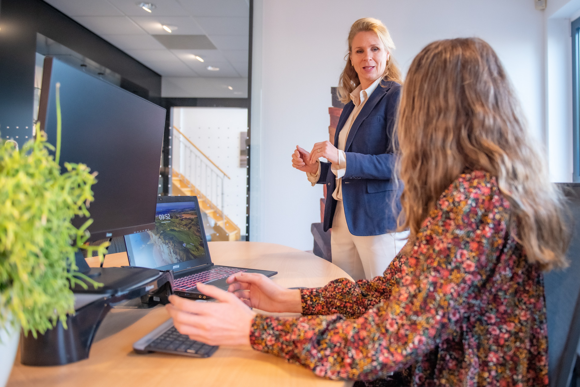 professioneel in balans